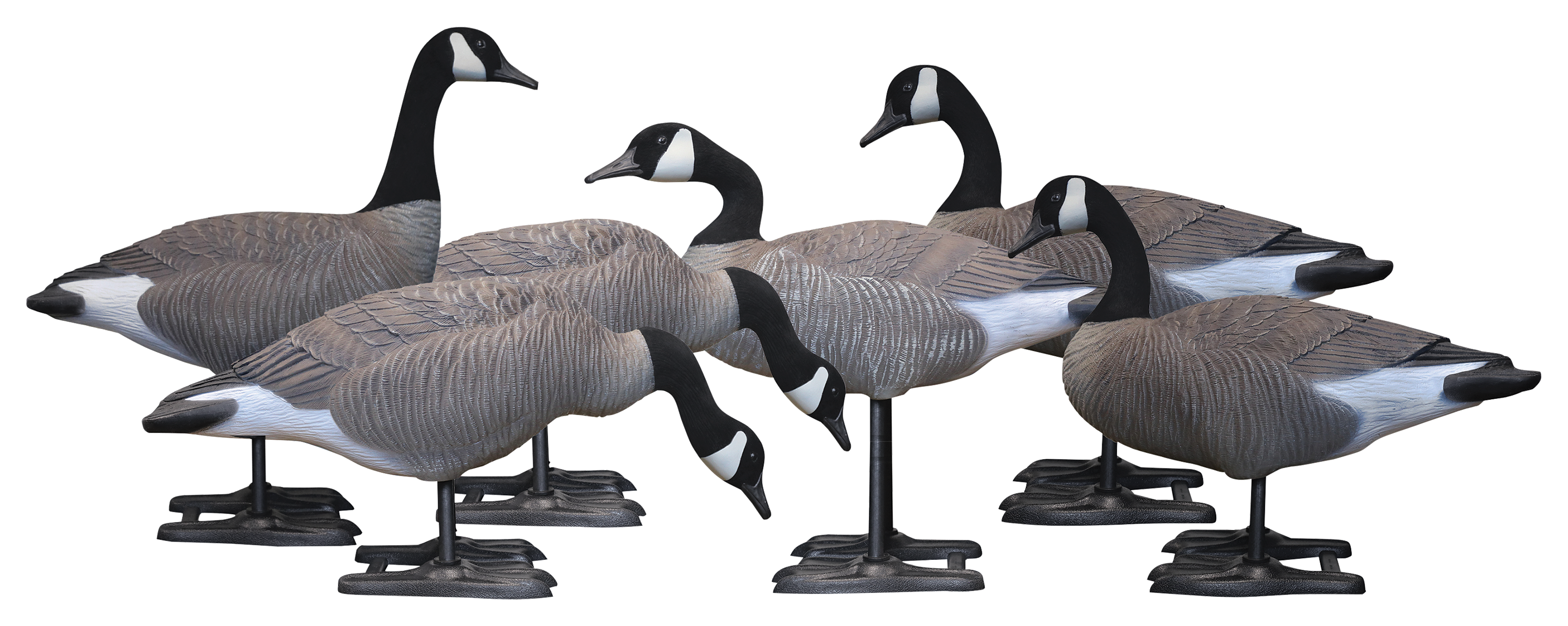 BigFoot Decoys B2 Full-Body Canada Goose Variety Decoy Pack | Bass Pro ...